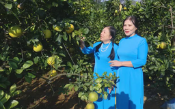 Nông nghiệp du lịch | Chuyển đổi xanh | 07/06/2025