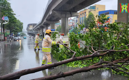 Hà Nội chủ động phòng ngừa, ứng phó siêu bão số 3