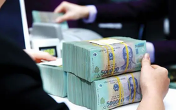 Tín dụng nền kinh tế năm 2024 tăng khoảng 15,08%