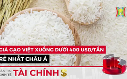 Bản tin Kinh tế Tài chính | 08/02/2025