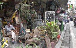 Sống ở nhà mặt phố