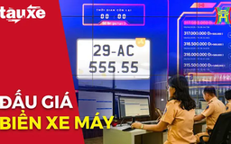 474 biển số xe gắn máy được đấu giá thành công | Bản tin Tàu và Xe | 08/04/2025