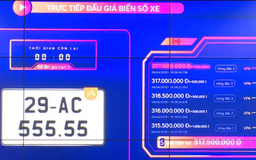 474 biển số xe gắn máy được đấu giá thành công