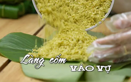 Làng cốm vào vụ | Nhịp sống Hà Nội | 08/05/2025
