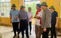Khẩn trương khắc phục hậu quả bão số 3