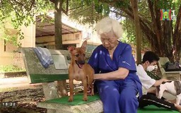 Phòng khám thú y miễn phí của cụ bà 90 tuổi