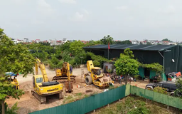 Nhiều vi phạm đất đai ở Bát Tràng chưa được xử lý