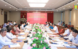 Hà Nội hỗ trợ khẩn cấp các tỉnh, thành phố bị thiệt hại do bão