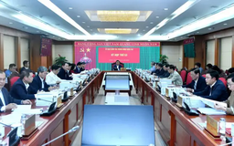 Bộ Chính trị, Ban Bí thư xem xét thi hành kỷ luật đảng viên