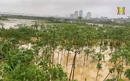 Lệnh báo động lũ trên sông Hồng