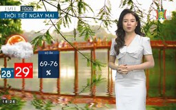 Dự báo thời tiết ngày 11/11/2022