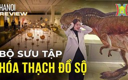Khám phá thế giới cổ đại ngay tại Hà Nội | Hà Nội Reviews | 09/12/2023