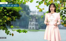 Dự báo thời tiết ngày 12/02/2023