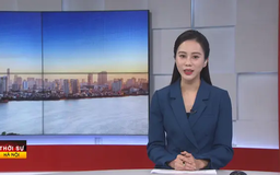 Chương trình Thời sự 11h30 | 11/03/2025