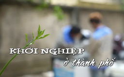 Khởi nghiệp ở thành phố | Nhịp sống Hà Nội | 11/03/2025