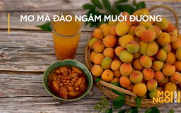 Mơ má đào ngâm muối đường | Món ngon ở Hà Thành | 12/05/2025