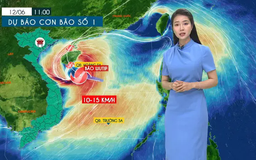 Dự báo thời tiết tối | 11/06/2025