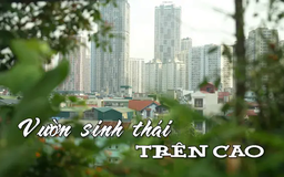 Vườn sinh thái trên cao | Nhịp sống Hà Nội | 11/06/2025