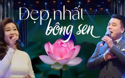 Đẹp nhất bông sen