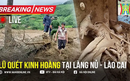 Hiện trường vụ sạt lở ở Lào Cai, hơn 100 người thiệt mạng