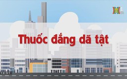 Thuốc đắng dã tật | Chuyện quanh ta | tập 171 | 11/10/2023