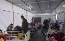 WHO kêu gọi hỗ trợ nhân đạo khẩn cấp cho Gaza
