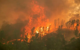 Mỹ mở cuộc điều tra nguyên nhân cháy rừng ở California