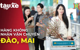 Hàng không Việt nhận vận chuyển ký gửi đào, mai | Bản tin Tàu và Xe | 12/01/2025