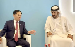 Nhiều doanh nghiệp UAE quan tâm đến thị trường Việt Nam