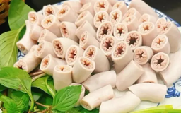 Lòng xe điếu hình thành ở lợn mắc bệnh đường ruột