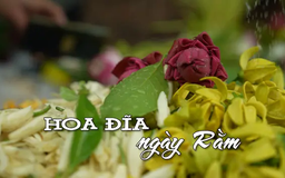Hoa đĩa ngày rằm | Nhịp sống Hà Nội | 12/05/2025