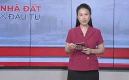 Bản tin Nhà đất và đầu tư | 12/06/2025