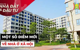 Bản tin Nhà đất và đầu tư | 12/08/2024