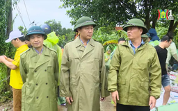 Lãnh đạo Sở Nông nghiệp kiểm tra các điểm đê xung yếu