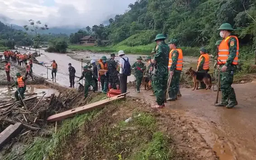 Nối lại việc cứu hộ vụ sạt lở kinh hoàng tại Lào Cai