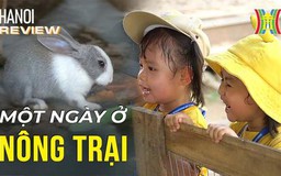 Cầm 50k thoả sức "nuôi cá và trồng thêm rau" ngay tại Hà Nội| Hanoi Review| 12/10/2023