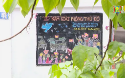Những bức tranh cổ động bằng phấn màu nơi ngõ nhỏ