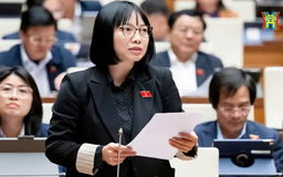 Đề xuất giữ nguyên quy trình thông qua luật trong hai kỳ họp