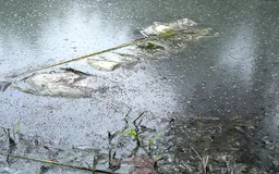 Sông Đáy 'kêu cứu'