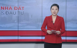 Bản tin Nhà đất và đầu tư | 13/06/2025