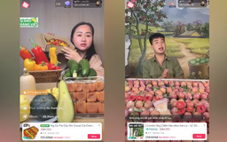 Cuộc đua đưa nông sản lên thương mại điện tử