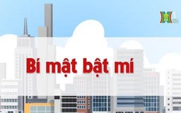 Bí mật bật mí | Chuyện quanh ta | tập 80 |12/08/2023