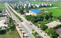 Thanh Oai sắp đưa ra đấu giá 54 thửa đất