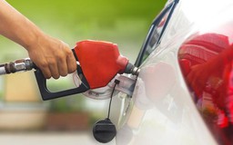 Giá xăng tiếp tục giảm nhẹ, giá dầu đảo chiều tăng