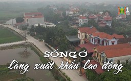 Sống ở làng xuất khẩu lao động | Nhịp sống Hà Nội | 14/03/2024