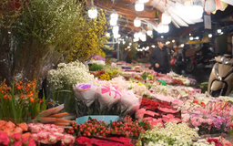 Ngày thường ở chợ hoa Quảng Bá