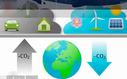 Tín chỉ carbon với chuyển đổi xanh | Chuyển đổi xanh | 12/04/2025
