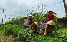 Nông dân làm du lịch