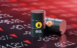 Giá dầu thế giới tăng khoảng 13% trong tuần qua