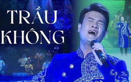 Trầu không